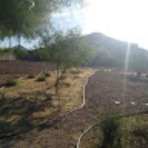 Meet your Posher, Pamela